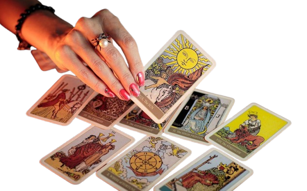 best tarot card reader in India