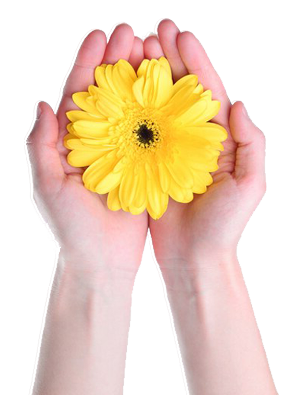 reiki masters in India